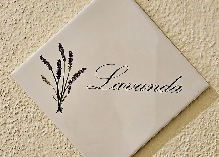 Alojamento de Acomodação e Pequeno-almoço Bidd'e Majori